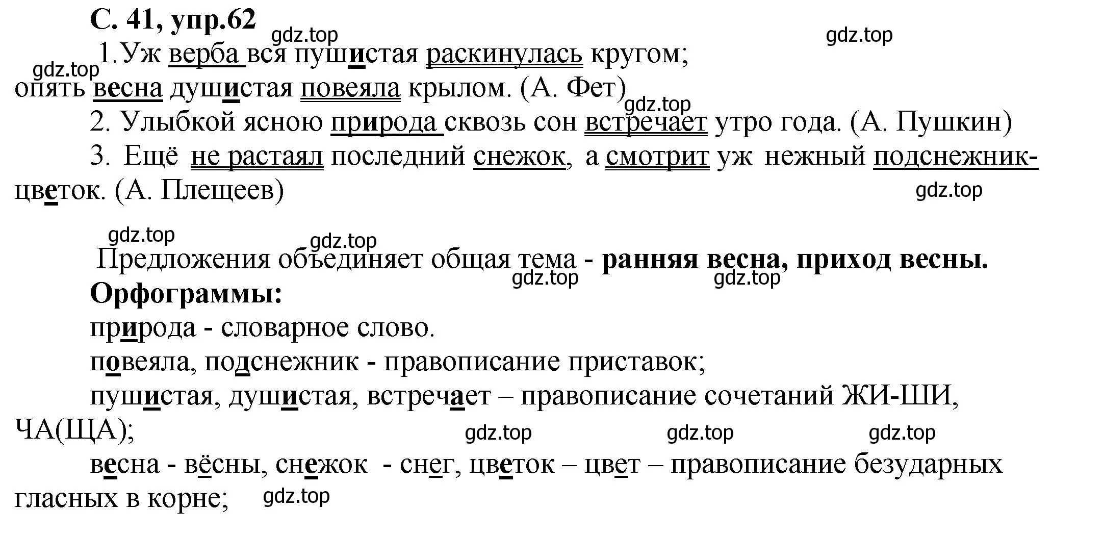 Решение номер 62 (страница 41) гдз по русскому языку 4 класс Климанова, Бабушкина, рабочая тетрадь 1 часть