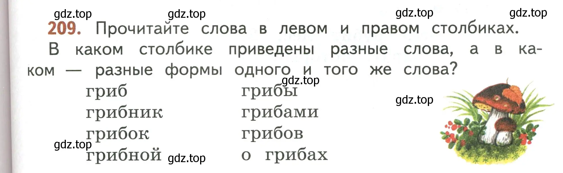 Условие номер 209 (страница 125) гдз по русскому языку 4 класс Климанова, Бабушкина, учебник 1 часть