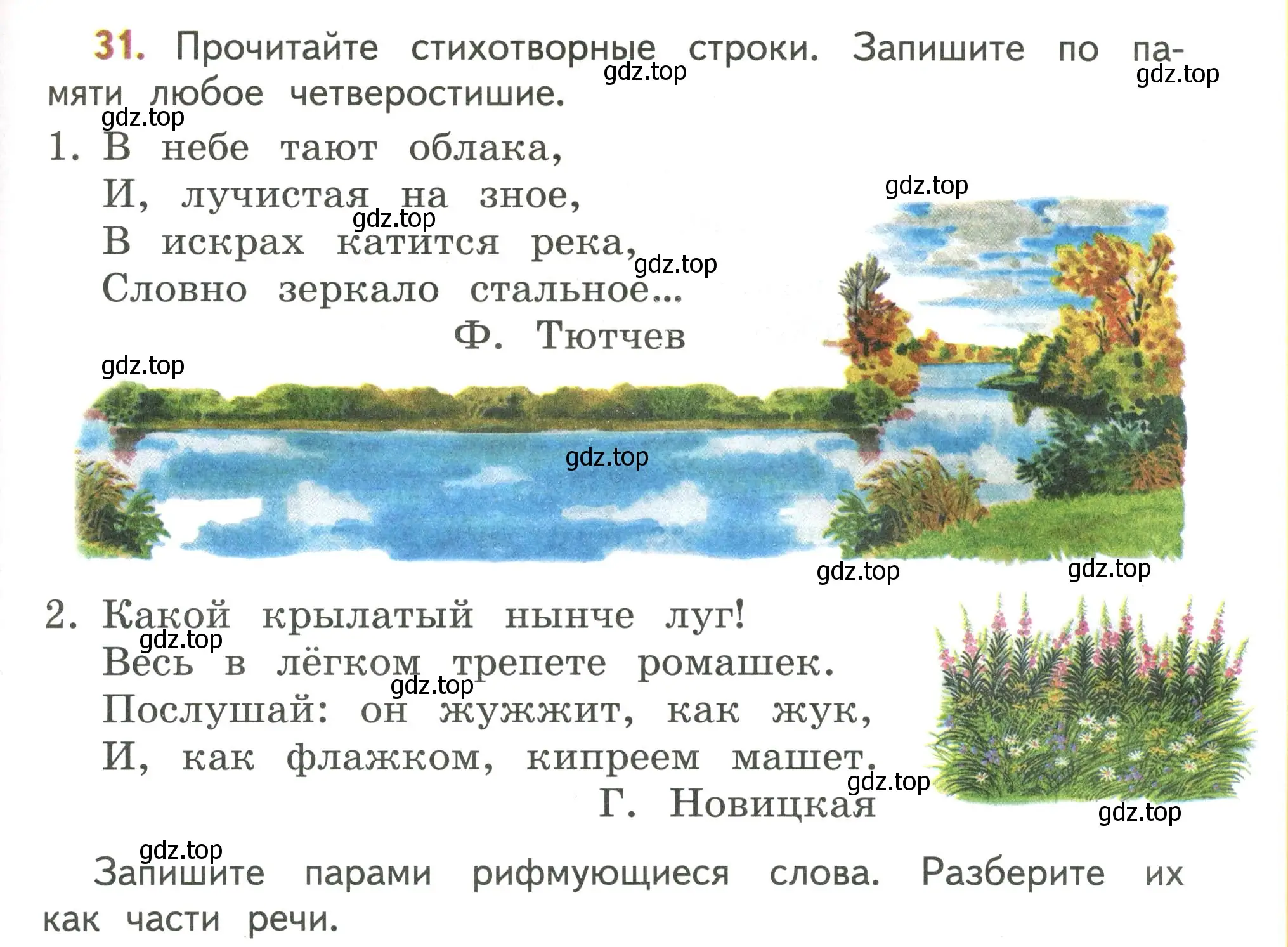 Условие номер 31 (страница 21) гдз по русскому языку 4 класс Климанова, Бабушкина, учебник 2 часть