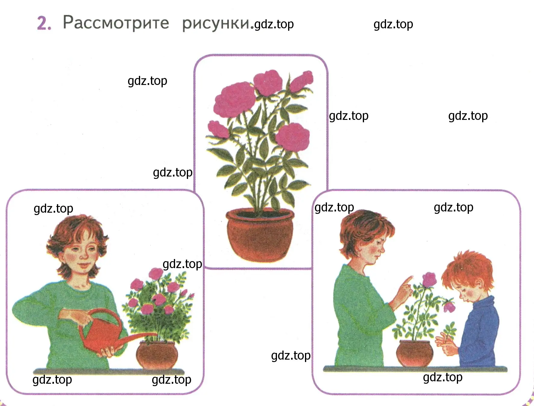 Условие номер 2 (страница 136) гдз по русскому языку 4 класс Климанова, Бабушкина, учебник 2 часть