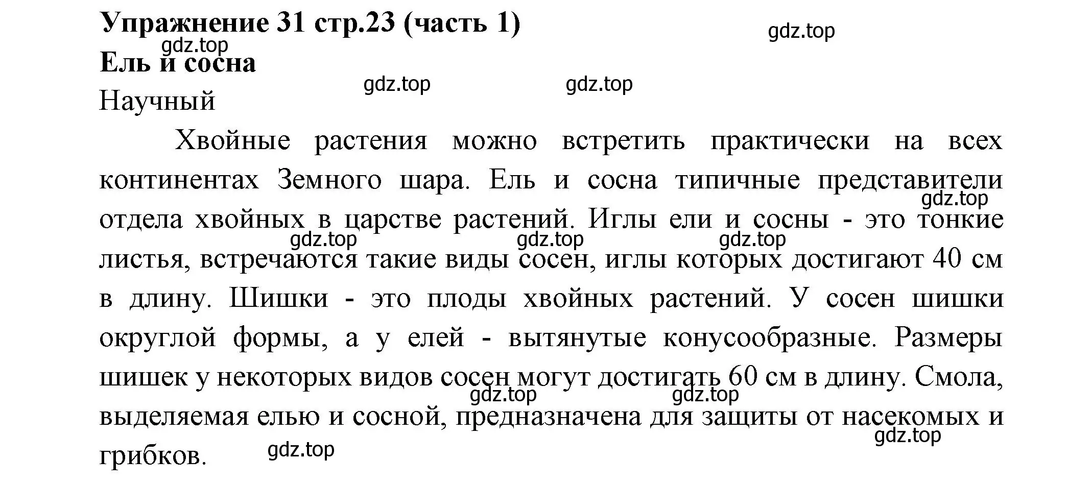 Решение номер 31 (страница 23) гдз по русскому языку 4 класс Климанова, Бабушкина, учебник 1 часть