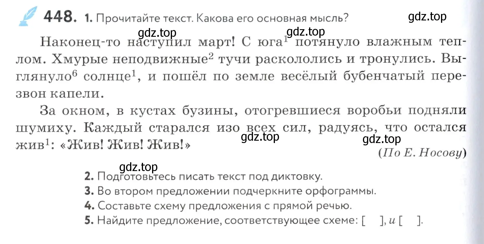 Условие номер 448 (страница 146) гдз по русскому языку 5 класс Купалова, Еремеева, учебник