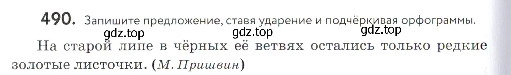 Условие номер 490 (страница 156) гдз по русскому языку 5 класс Купалова, Еремеева, учебник