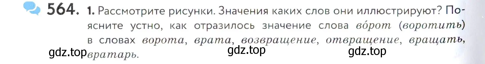 Условие номер 564 (страница 176) гдз по русскому языку 5 класс Купалова, Еремеева, учебник