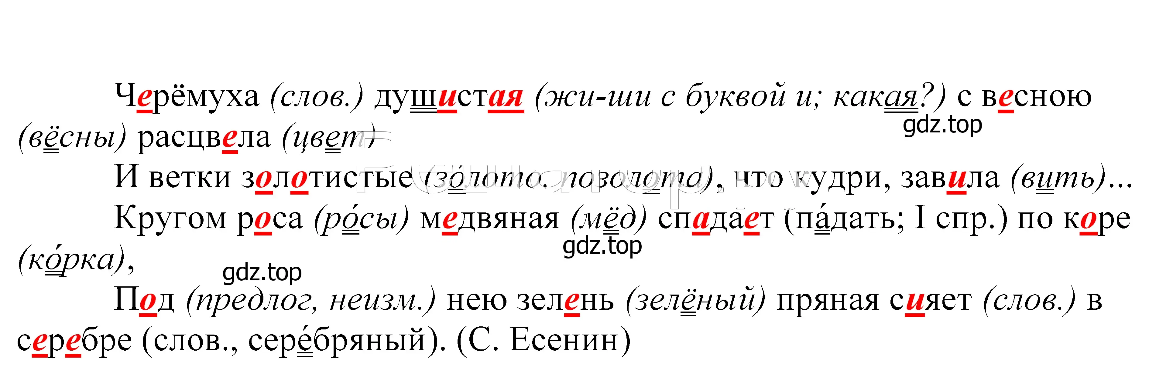 Решение 2. номер 172 (страница 60) гдз по русскому языку 5 класс Купалова, Еремеева, учебник