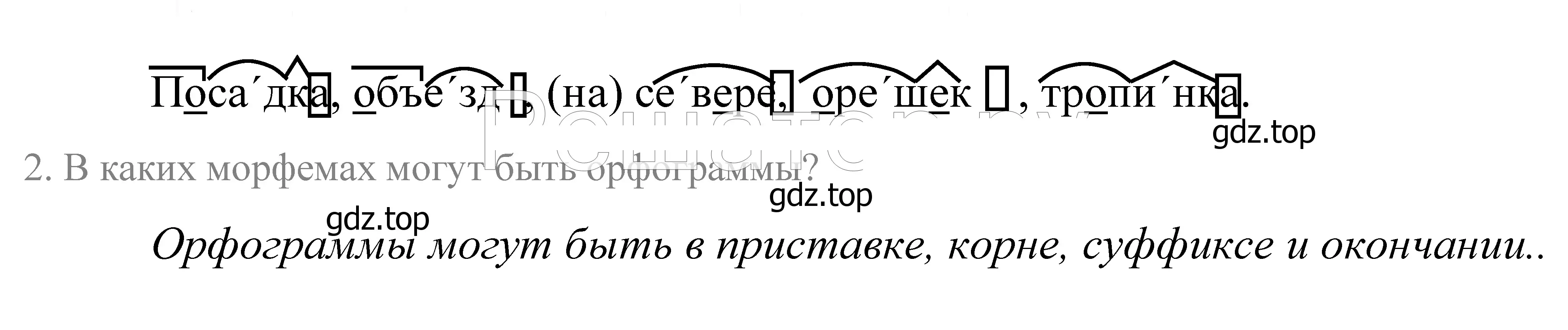 Решение 2. номер 21 (страница 16) гдз по русскому языку 5 класс Купалова, Еремеева, учебник