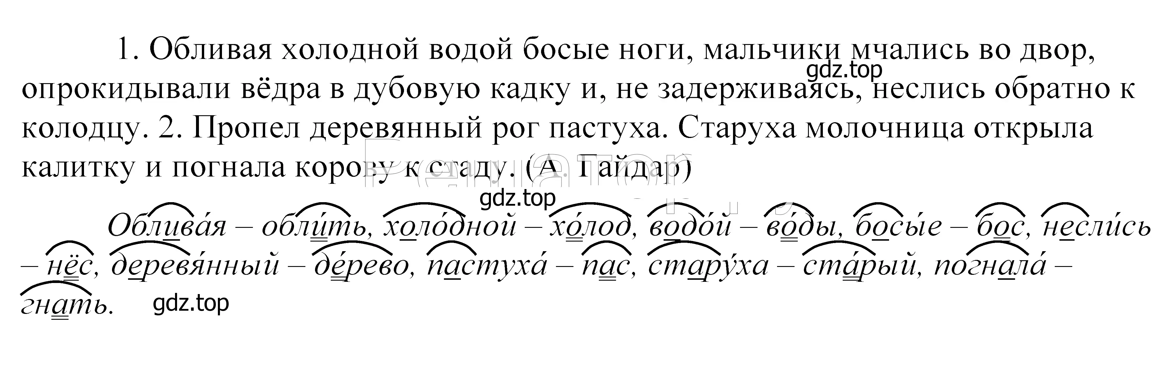 Решение 2. номер 25 (страница 17) гдз по русскому языку 5 класс Купалова, Еремеева, учебник