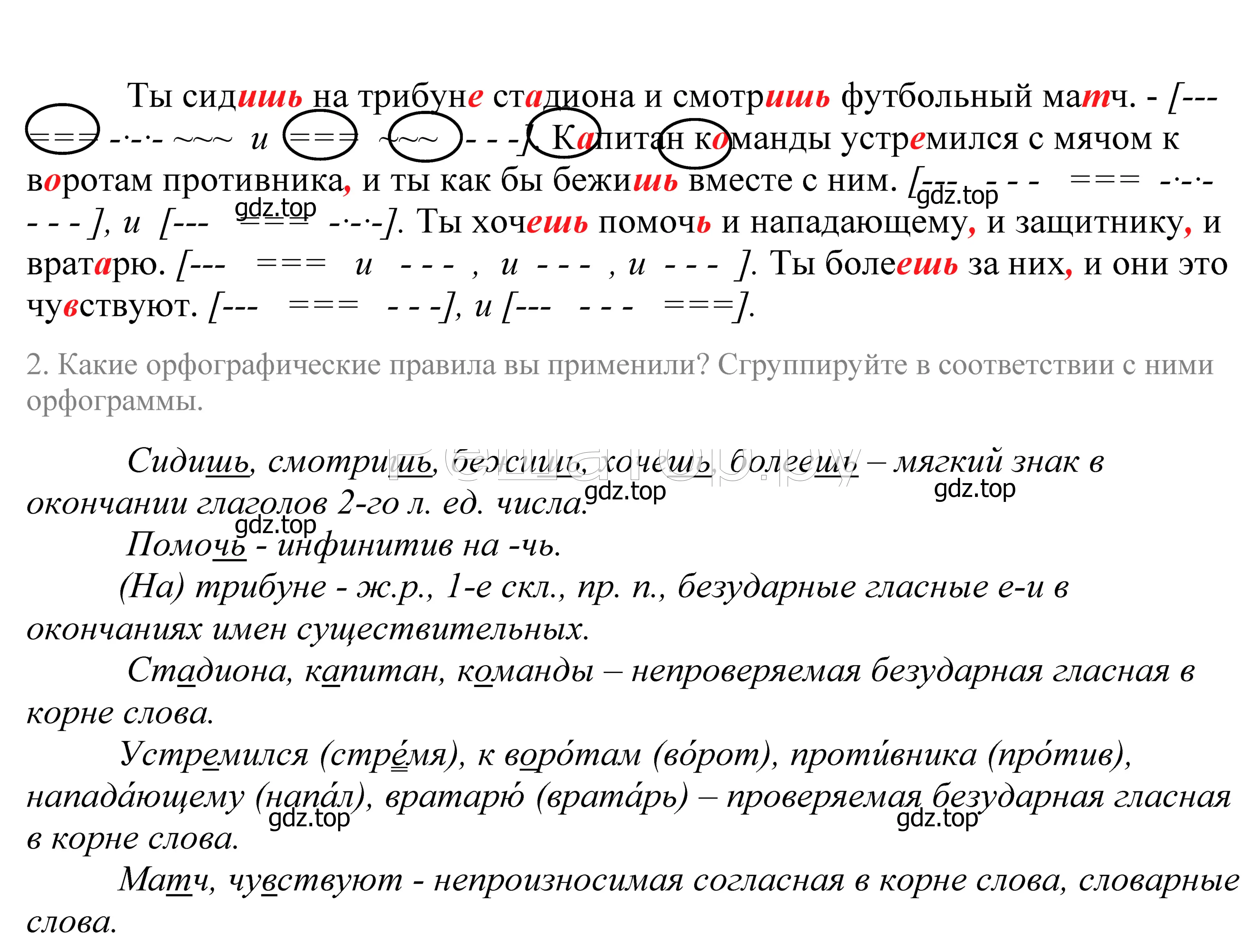 Решение 2. номер 295 (страница 97) гдз по русскому языку 5 класс Купалова, Еремеева, учебник