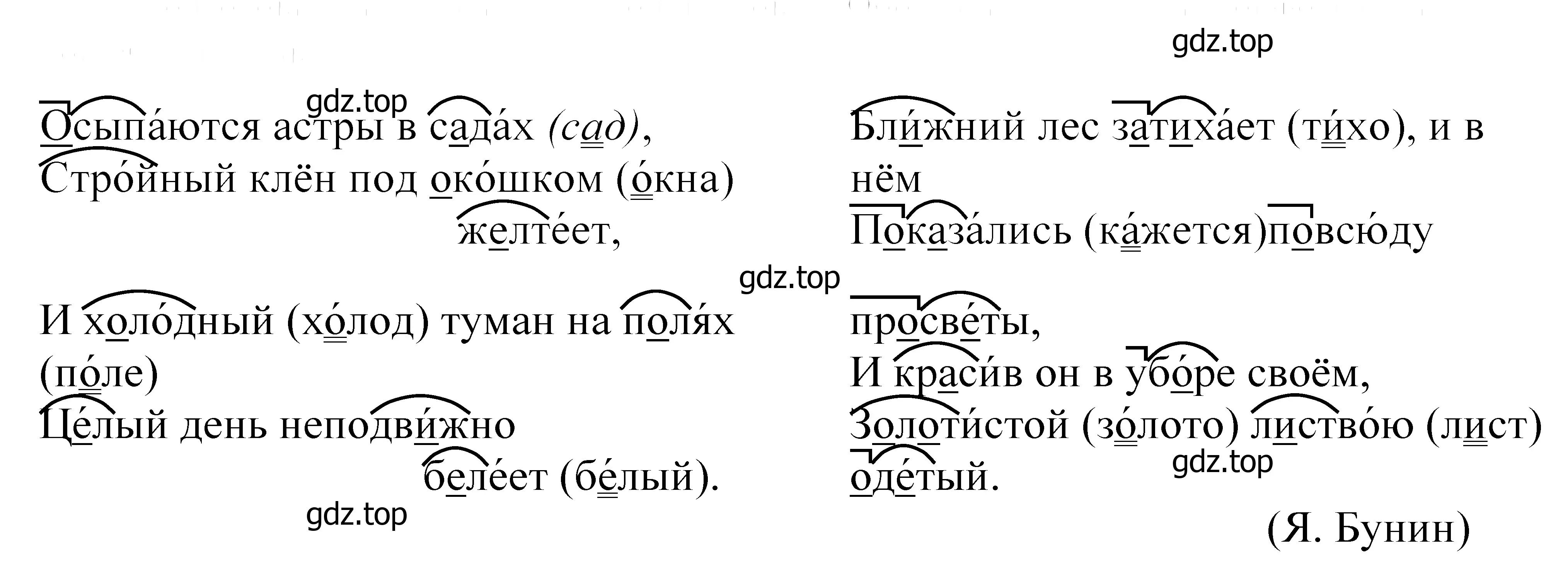 Решение 2. номер 38 (страница 20) гдз по русскому языку 5 класс Купалова, Еремеева, учебник