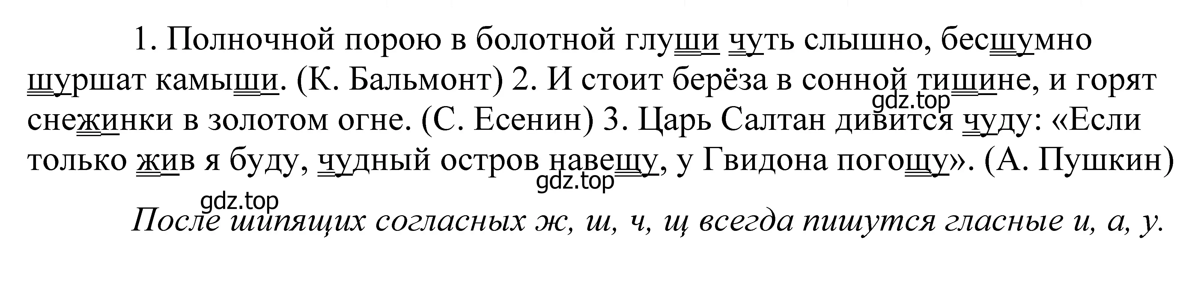 Решение 2. номер 40 (страница 21) гдз по русскому языку 5 класс Купалова, Еремеева, учебник