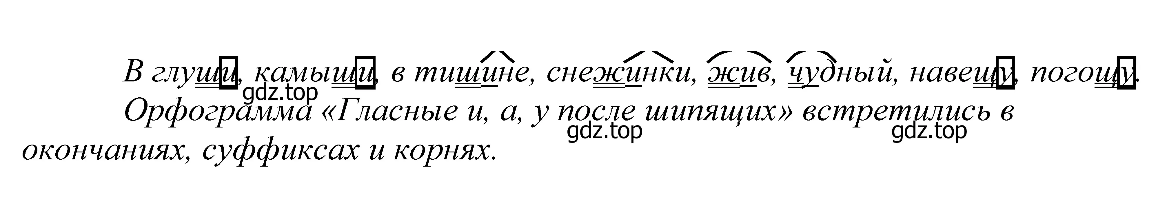 Решение 2. номер 41 (страница 21) гдз по русскому языку 5 класс Купалова, Еремеева, учебник