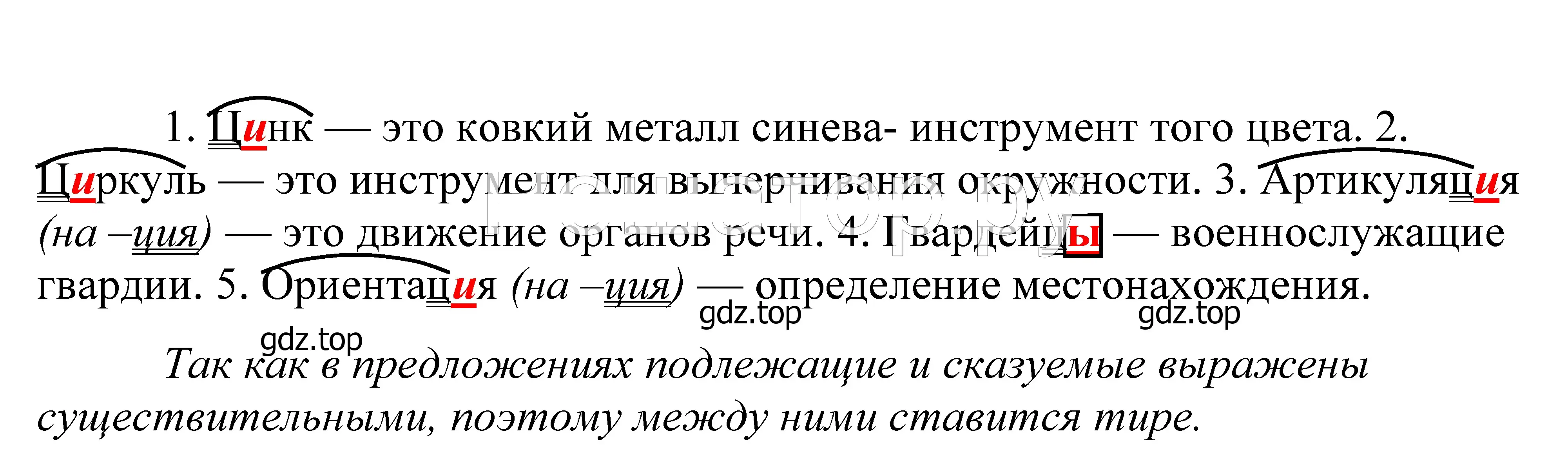 Решение 2. номер 446 (страница 145) гдз по русскому языку 5 класс Купалова, Еремеева, учебник