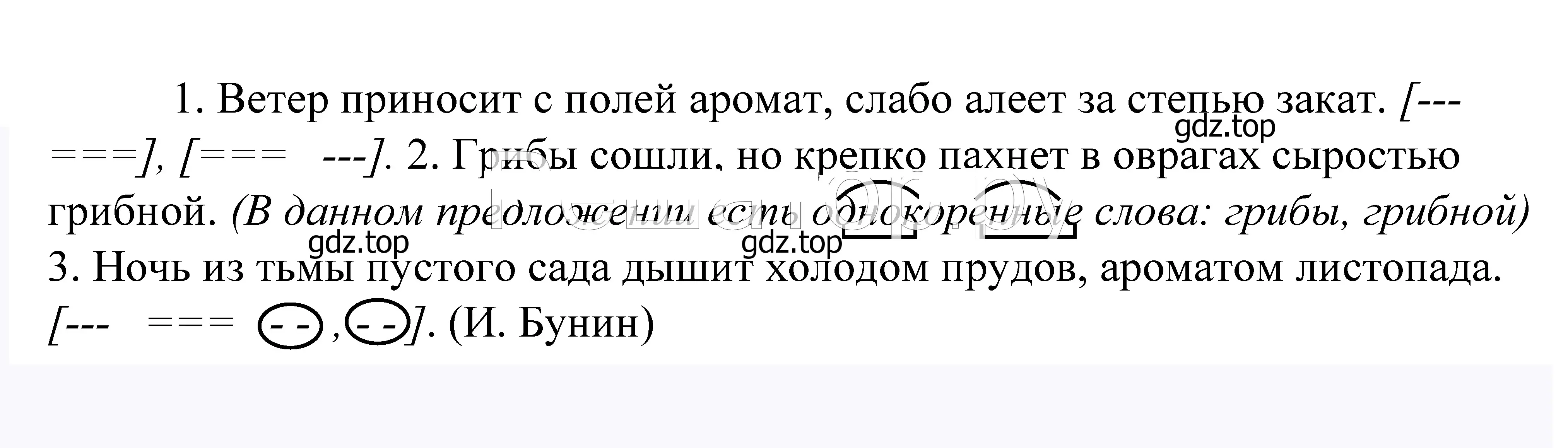 Решение 2. номер 535 (страница 169) гдз по русскому языку 5 класс Купалова, Еремеева, учебник