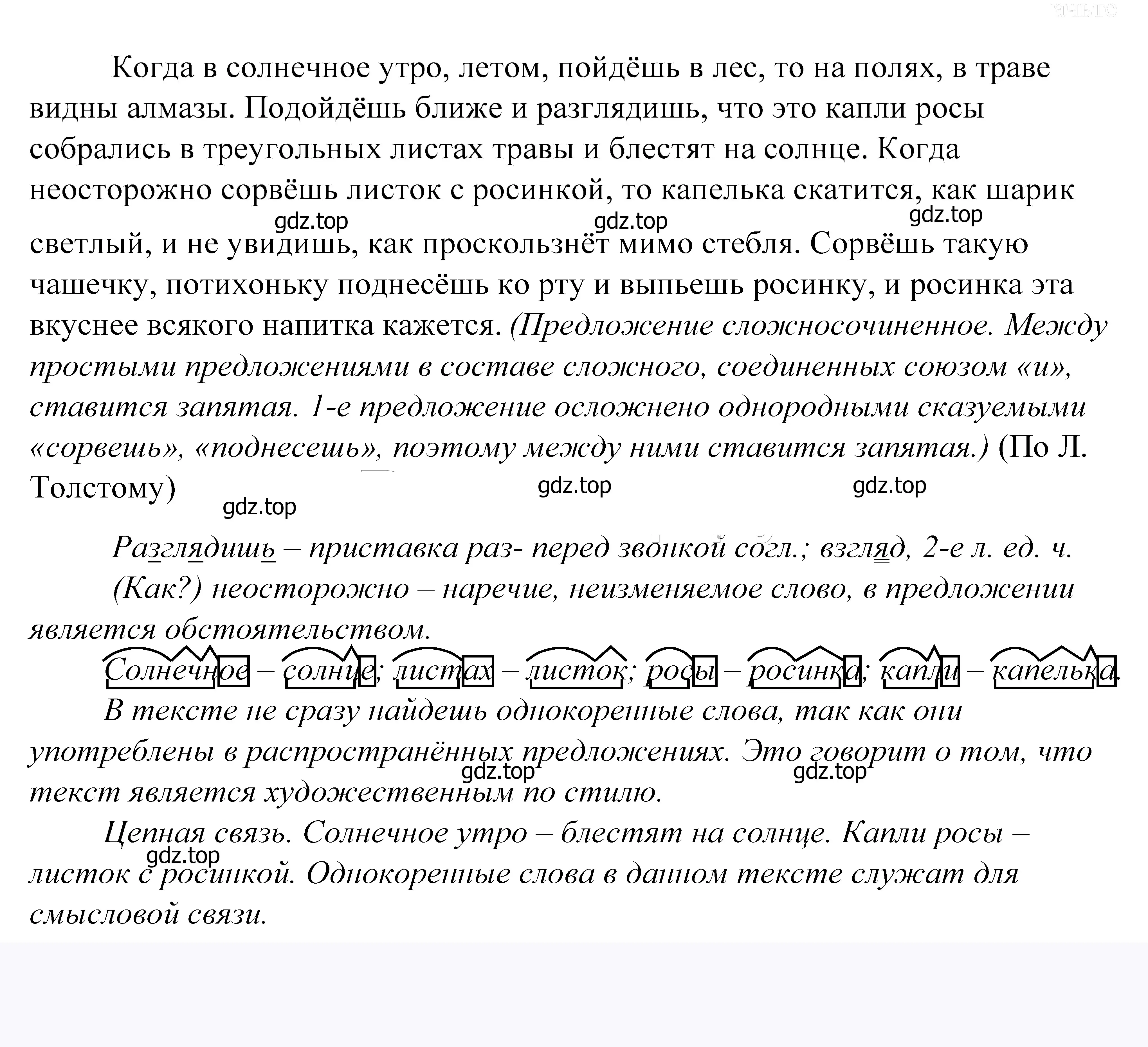 Решение 2. номер 536 (страница 170) гдз по русскому языку 5 класс Купалова, Еремеева, учебник