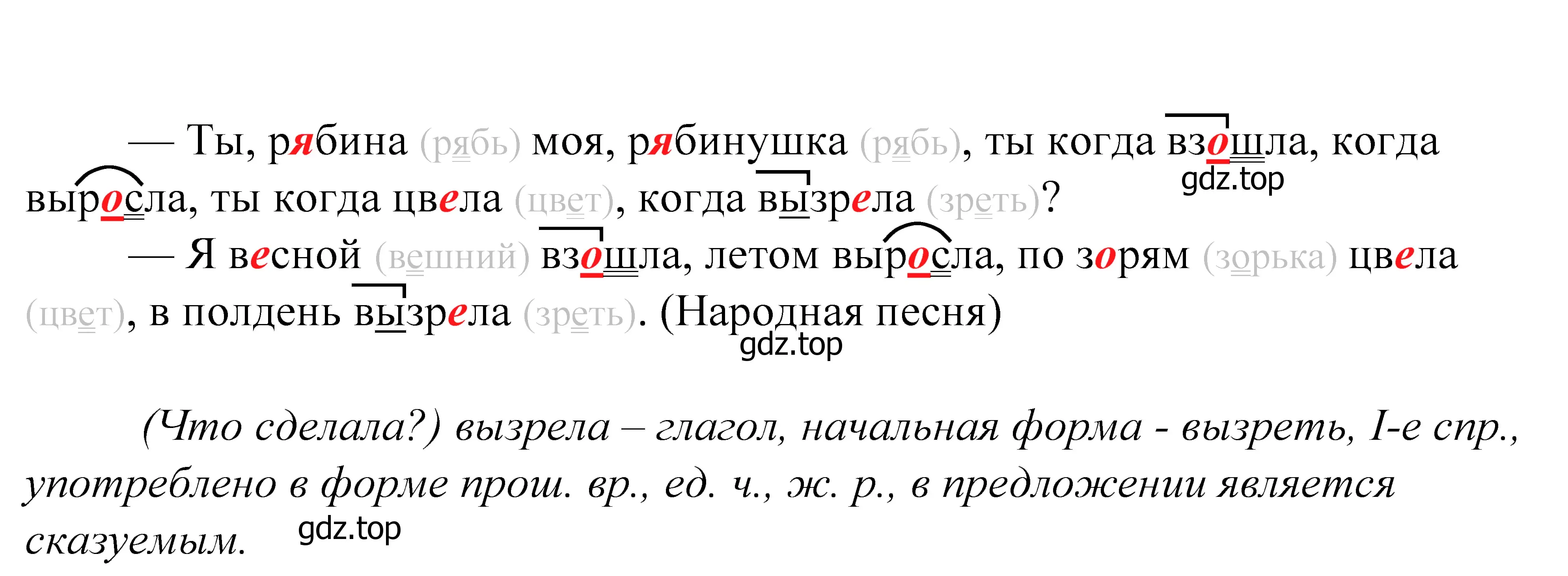 Решение 2. номер 592 (страница 185) гдз по русскому языку 5 класс Купалова, Еремеева, учебник