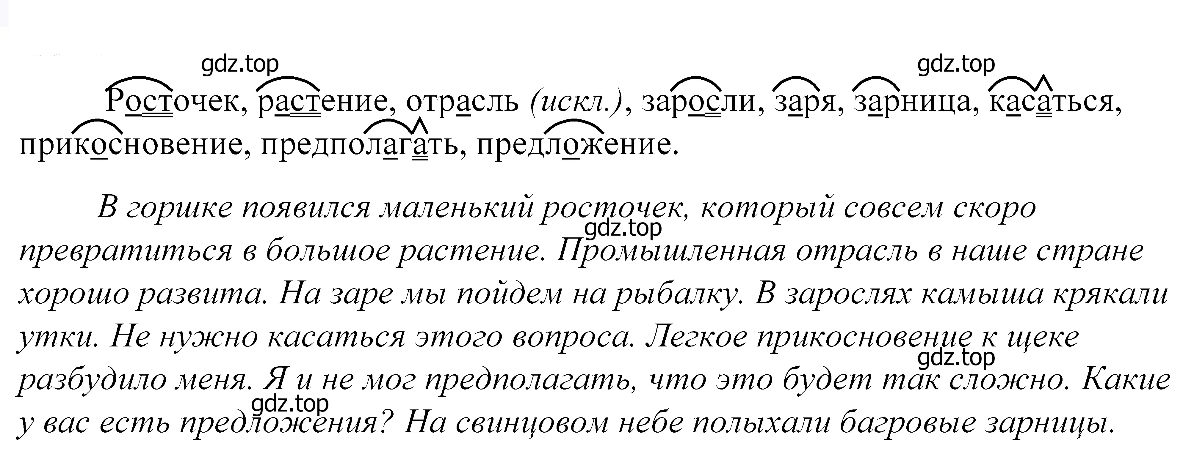 Решение 2. номер 593 (страница 185) гдз по русскому языку 5 класс Купалова, Еремеева, учебник