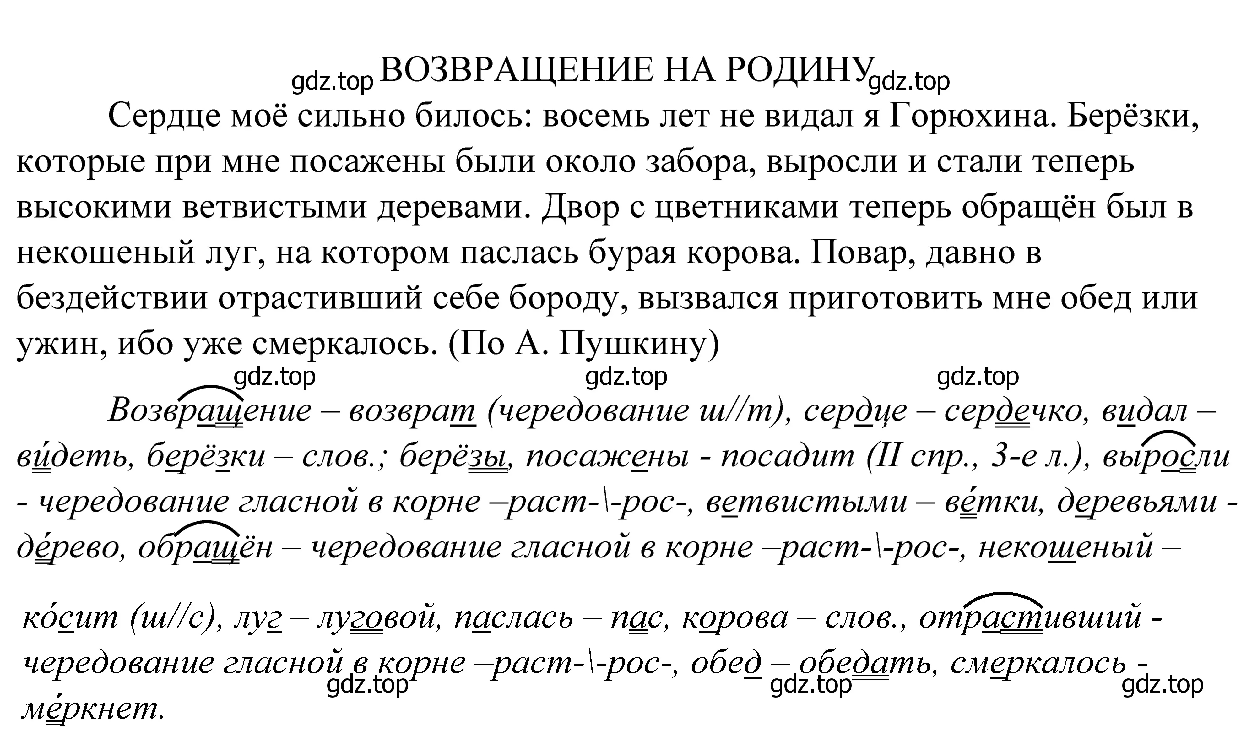 Решение 2. номер 594 (страница 185) гдз по русскому языку 5 класс Купалова, Еремеева, учебник