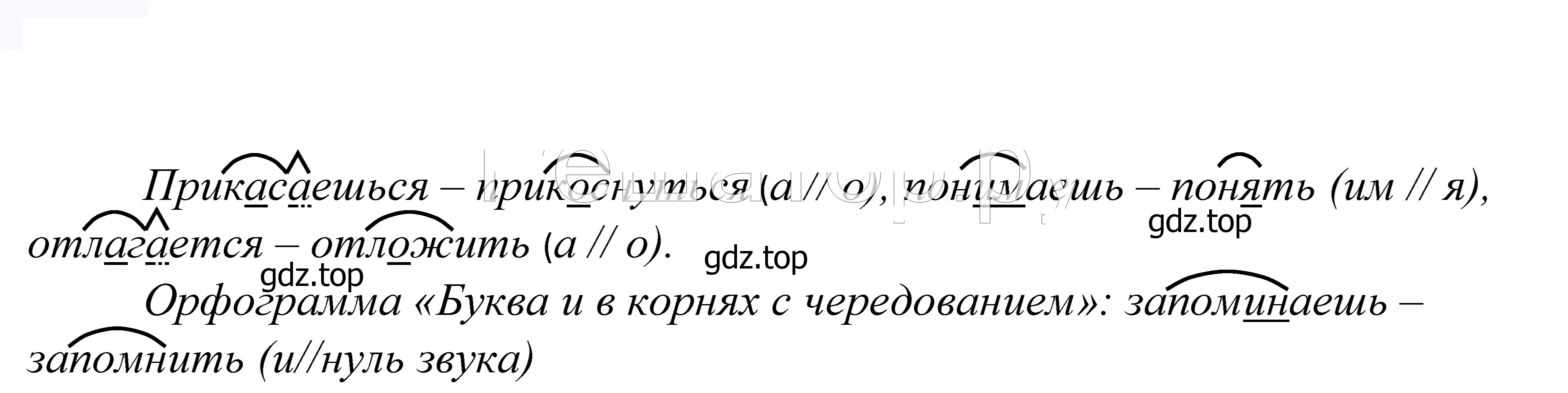 Решение 2. номер 621 (страница 192) гдз по русскому языку 5 класс Купалова, Еремеева, учебник