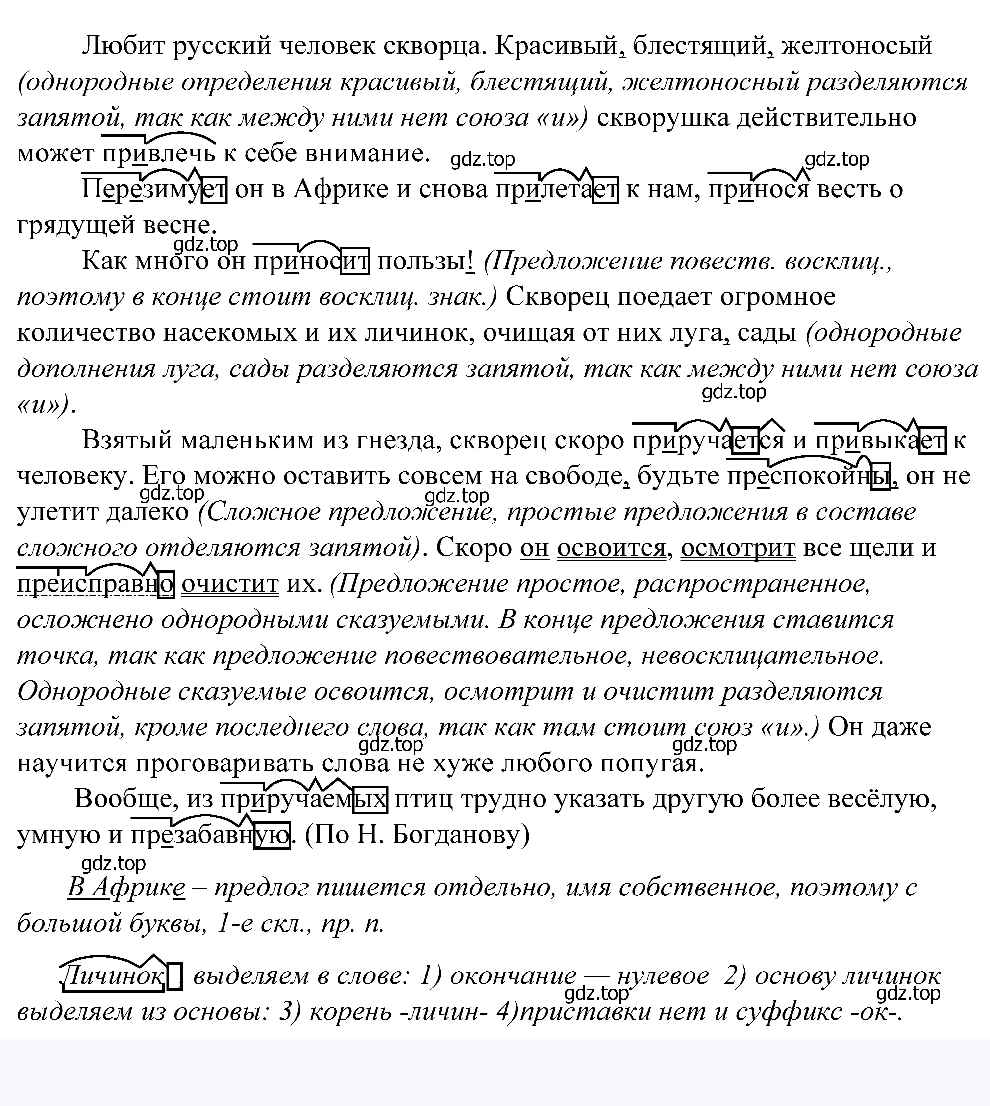 Решение 2. номер 683 (страница 207) гдз по русскому языку 5 класс Купалова, Еремеева, учебник