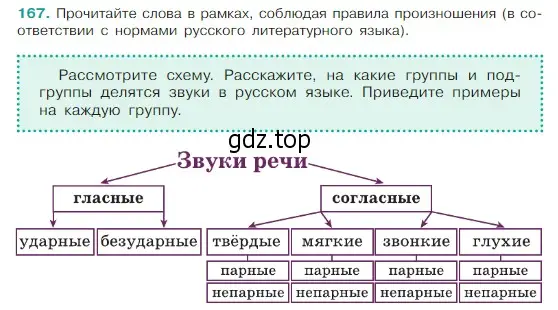 Условие Номер 167 (страница 94) гдз по русскому языку 5 класс Ладыженская, Баранов, учебник 1 часть