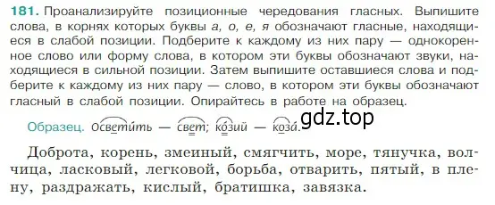 Условие Номер 181 (страница 100) гдз по русскому языку 5 класс Ладыженская, Баранов, учебник 1 часть