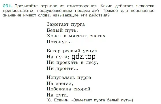 Условие Номер 291 (страница 146) гдз по русскому языку 5 класс Ладыженская, Баранов, учебник 1 часть