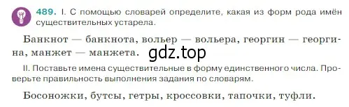 Условие Номер 489 (страница 19) гдз по русскому языку 5 класс Ладыженская, Баранов, учебник 2 часть