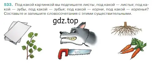 Условие Номер 533 (страница 38) гдз по русскому языку 5 класс Ладыженская, Баранов, учебник 2 часть