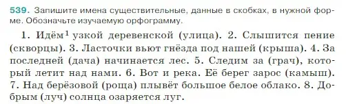 Условие Номер 539 (страница 40) гдз по русскому языку 5 класс Ладыженская, Баранов, учебник 2 часть