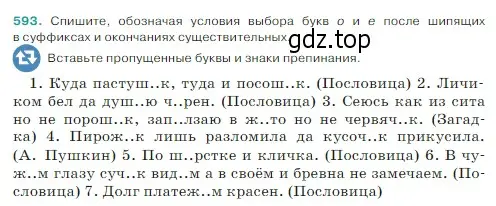 Условие Номер 593 (страница 60) гдз по русскому языку 5 класс Ладыженская, Баранов, учебник 2 часть