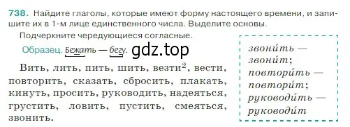 Условие Номер 738 (страница 124) гдз по русскому языку 5 класс Ладыженская, Баранов, учебник 2 часть