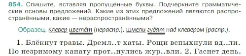 Условие Номер 854 (страница 178) гдз по русскому языку 5 класс Ладыженская, Баранов, учебник 2 часть