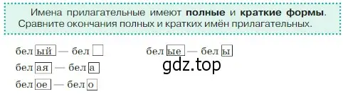 Условие  Задание в рамке (страница 88) гдз по русскому языку 5 класс Ладыженская, Баранов, учебник 2 часть