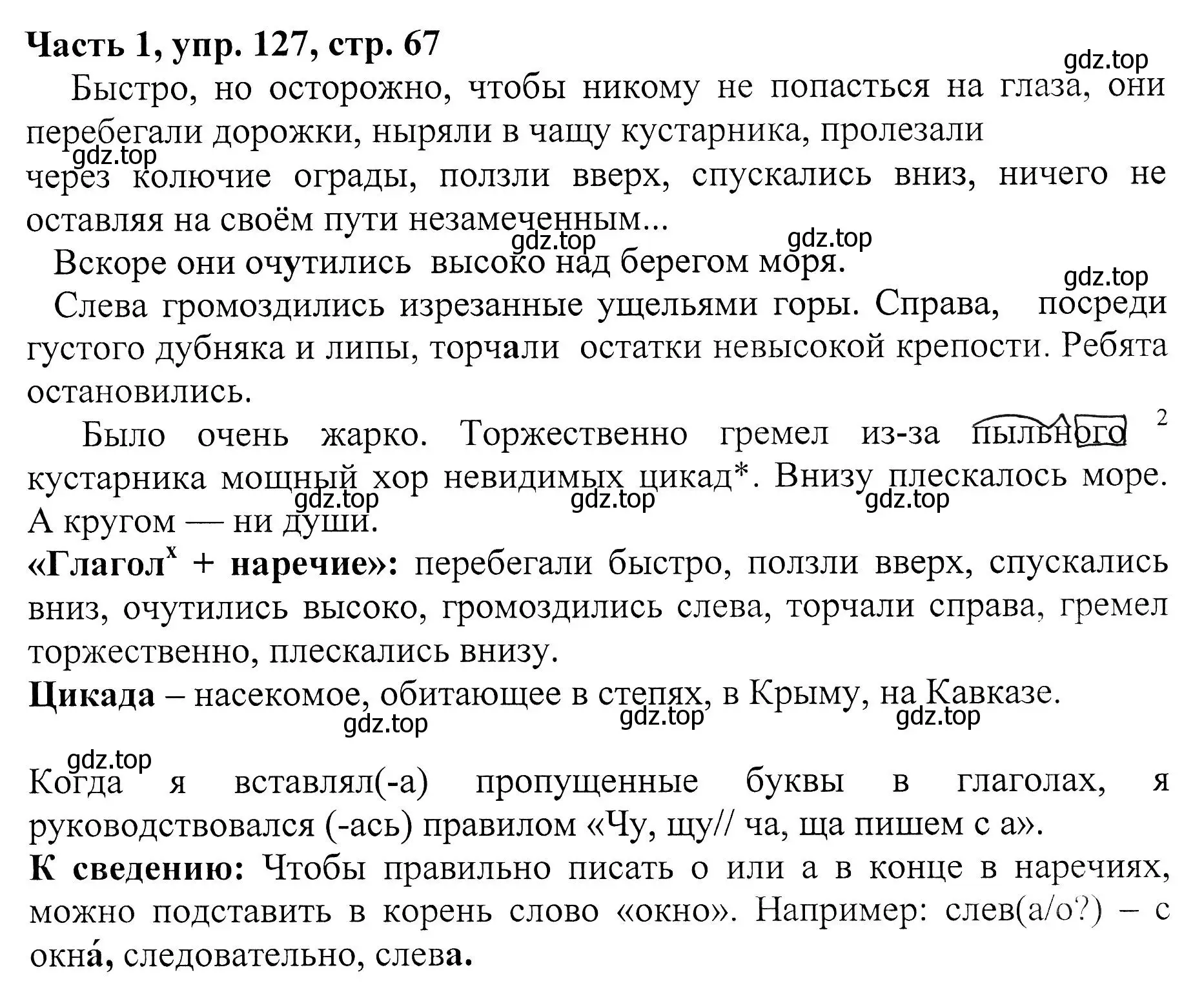 Решение Номер 127 (страница 67) гдз по русскому языку 5 класс Ладыженская, Баранов, учебник 1 часть