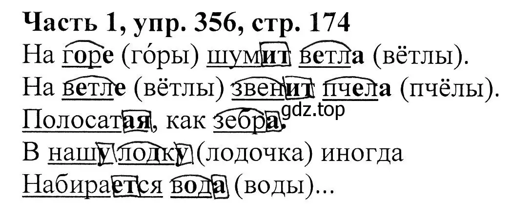 Решение Номер 356 (страница 174) гдз по русскому языку 5 класс Ладыженская, Баранов, учебник 1 часть