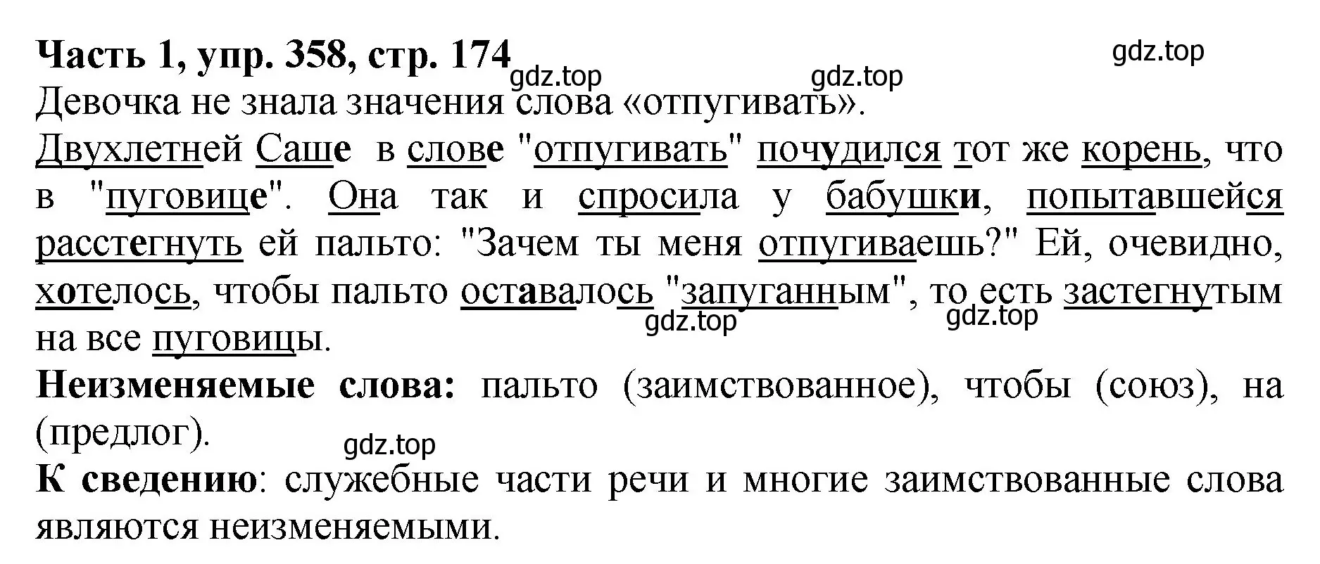 Решение Номер 358 (страница 174) гдз по русскому языку 5 класс Ладыженская, Баранов, учебник 1 часть