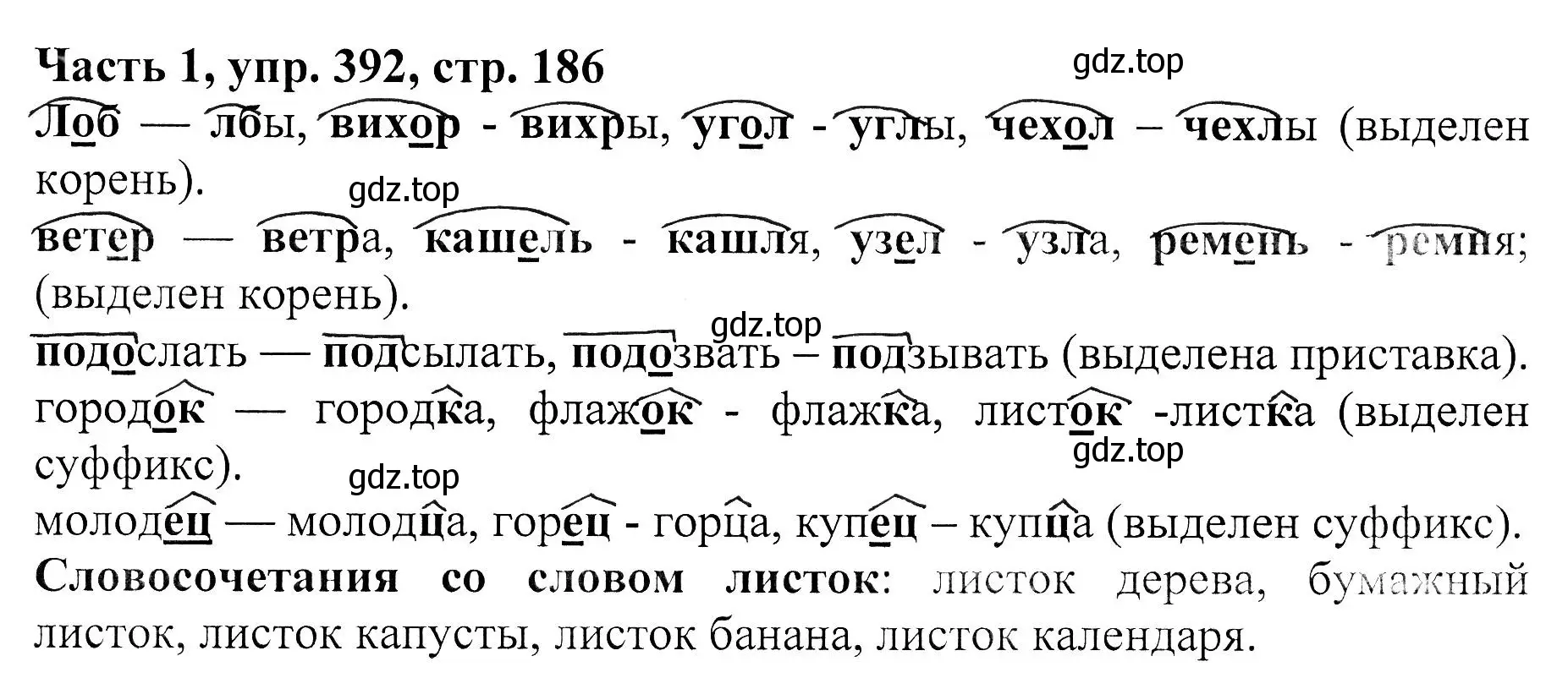 Решение Номер 392 (страница 186) гдз по русскому языку 5 класс Ладыженская, Баранов, учебник 1 часть