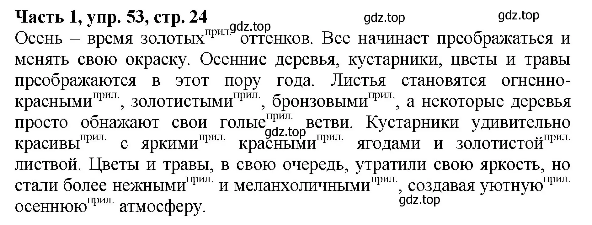 Решение Номер 53 (страница 24) гдз по русскому языку 5 класс Ладыженская, Баранов, учебник 1 часть