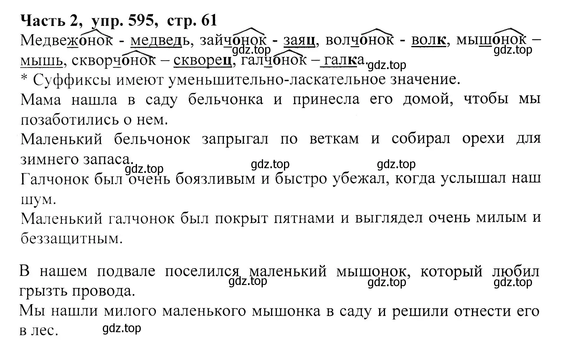 Решение Номер 595 (страница 61) гдз по русскому языку 5 класс Ладыженская, Баранов, учебник 2 часть