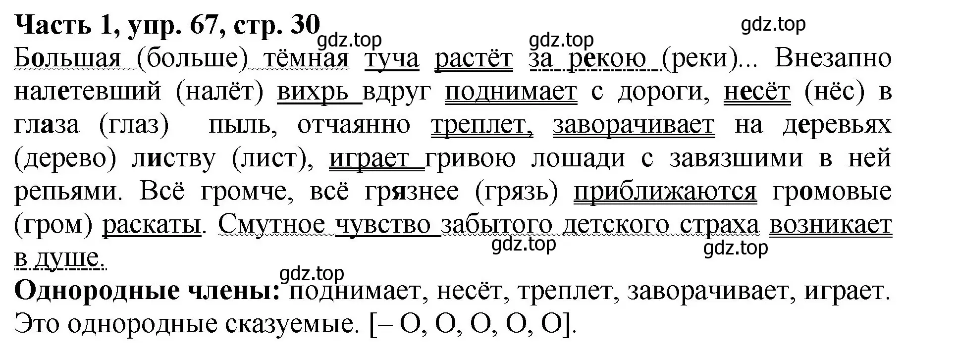 Решение Номер 67 (страница 30) гдз по русскому языку 5 класс Ладыженская, Баранов, учебник 1 часть