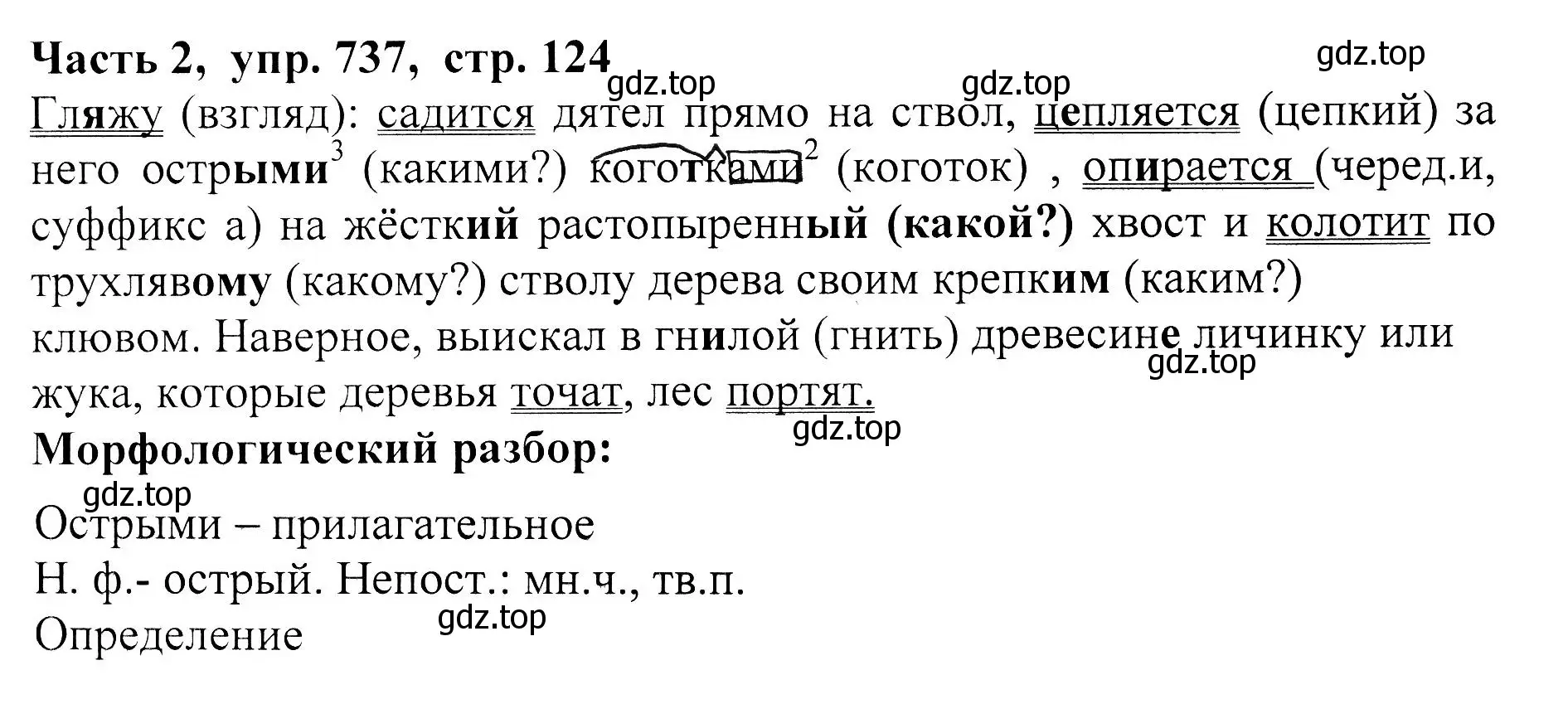 Решение Номер 737 (страница 124) гдз по русскому языку 5 класс Ладыженская, Баранов, учебник 2 часть