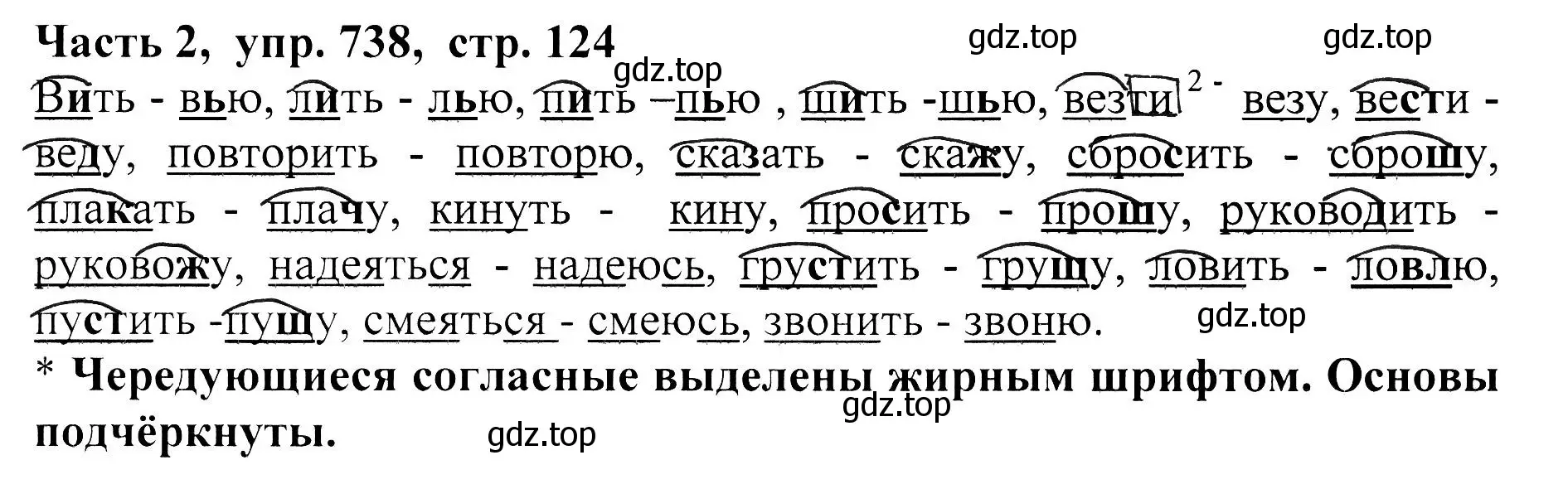 Решение Номер 738 (страница 124) гдз по русскому языку 5 класс Ладыженская, Баранов, учебник 2 часть