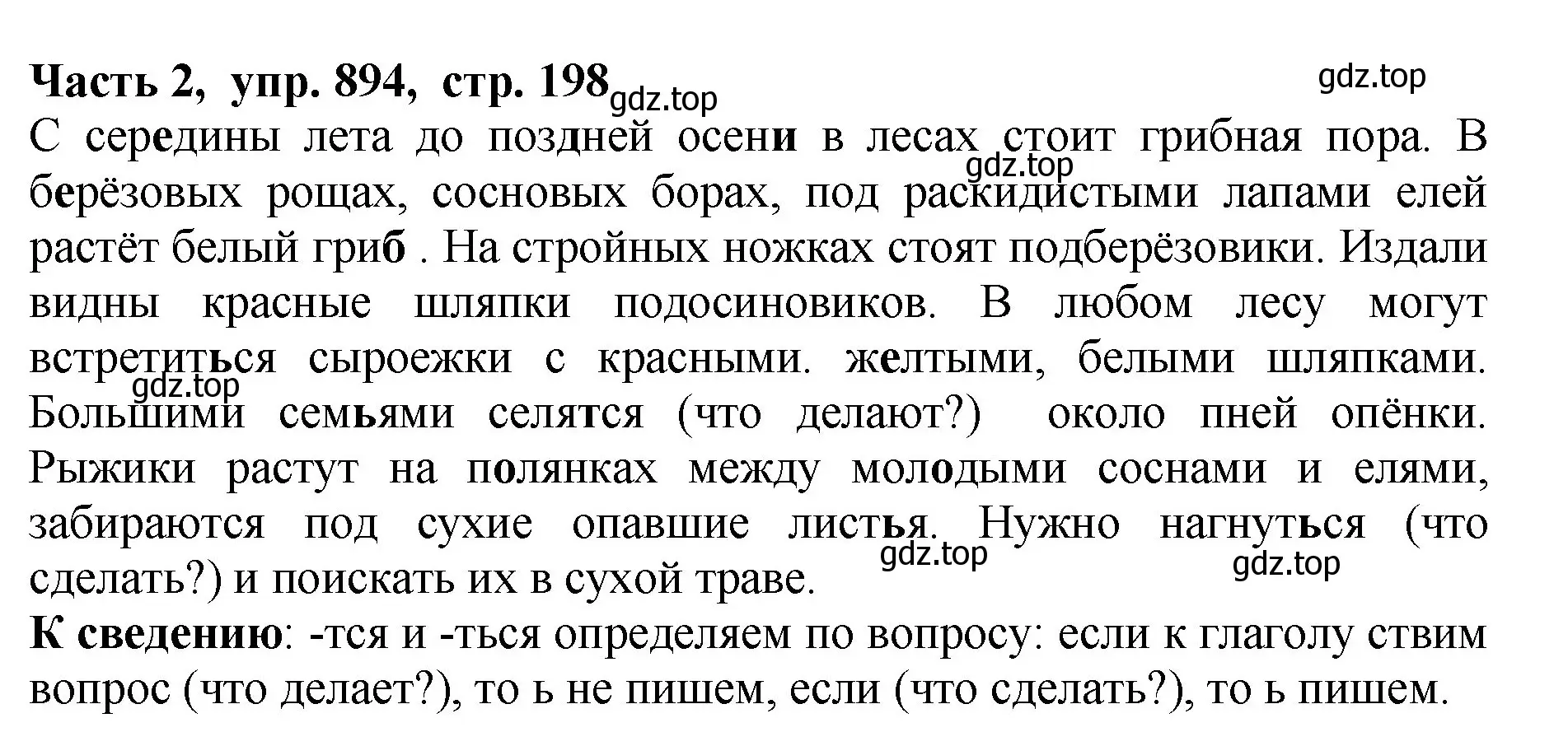 Решение Номер 894 (страница 198) гдз по русскому языку 5 класс Ладыженская, Баранов, учебник 2 часть