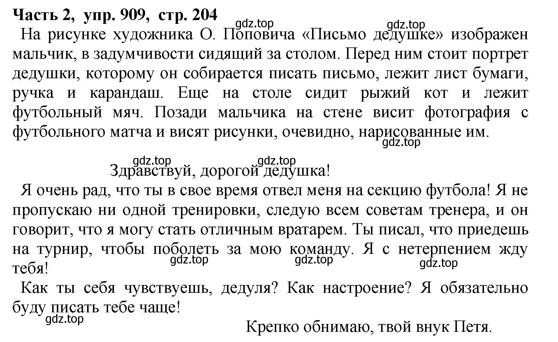 Решение Номер 909 (страница 204) гдз по русскому языку 5 класс Ладыженская, Баранов, учебник 2 часть