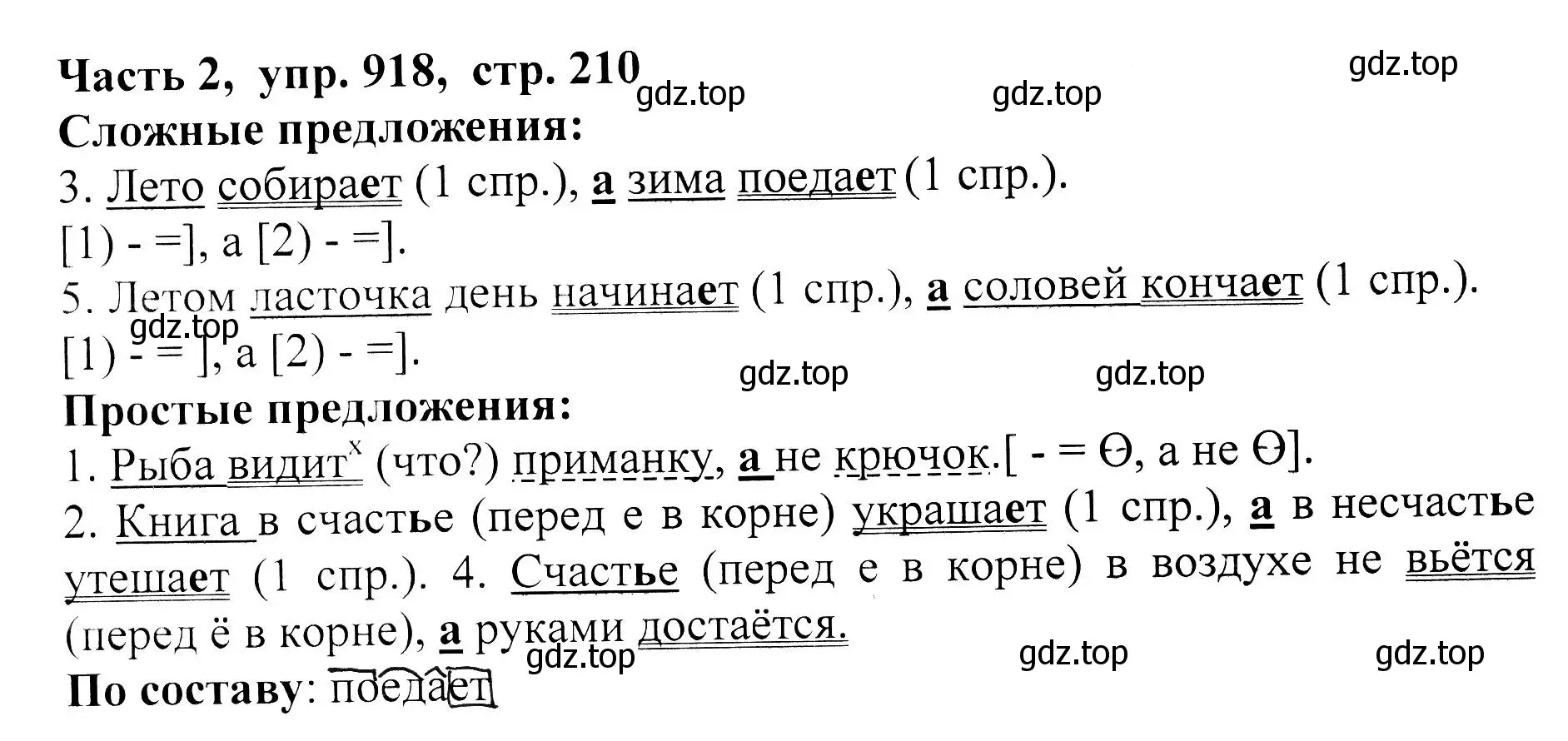 Решение Номер 918 (страница 210) гдз по русскому языку 5 класс Ладыженская, Баранов, учебник 2 часть