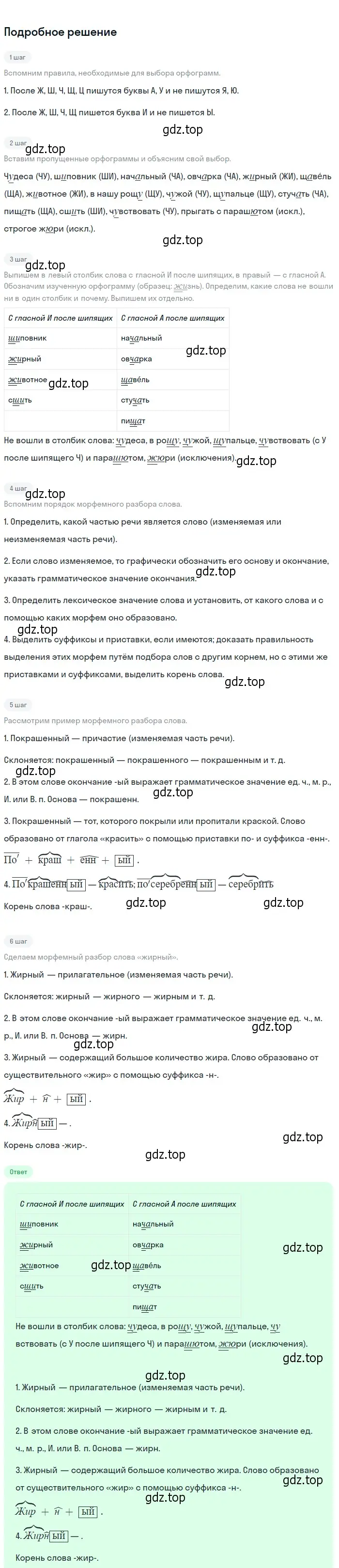 Решение 2. Номер 24 (страница 12) гдз по русскому языку 5 класс Ладыженская, Баранов, учебник 1 часть