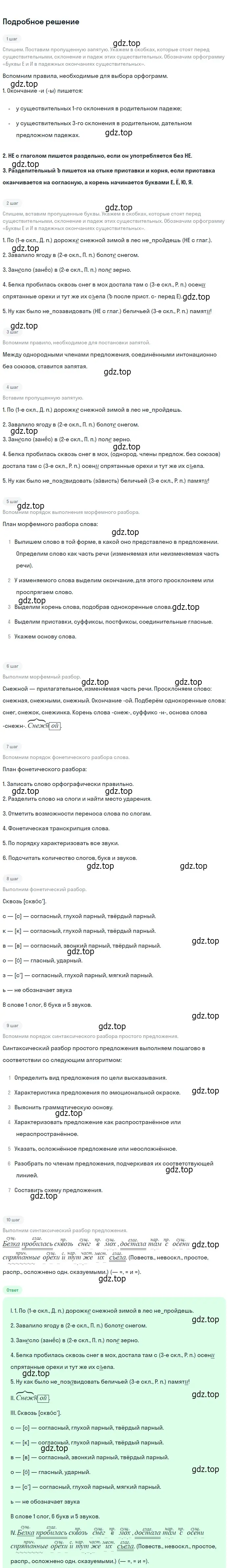 Решение 2. Номер 519 (страница 31) гдз по русскому языку 5 класс Ладыженская, Баранов, учебник 2 часть