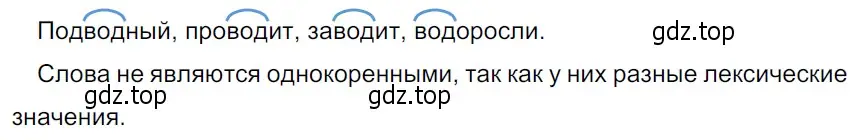 Решение 3. Номер 13 (страница 8) гдз по русскому языку 5 класс Ладыженская, Баранов, учебник 1 часть