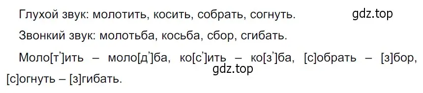 Решение 3. Номер 191 (страница 104) гдз по русскому языку 5 класс Ладыженская, Баранов, учебник 1 часть