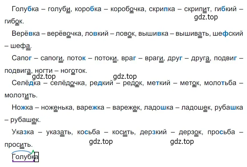 Решение 3. Номер 20 (страница 11) гдз по русскому языку 5 класс Ладыженская, Баранов, учебник 1 часть